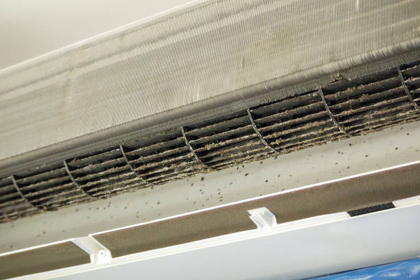 Best Affordable Duct Cleaning Services  in Minster, OH