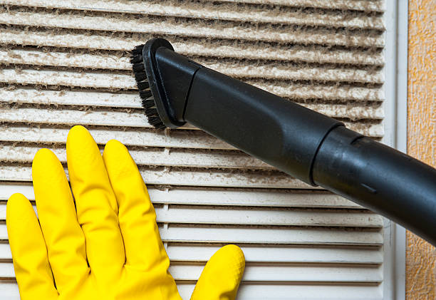 Best Dryer Vent Cleaning Services  in Minster, OH